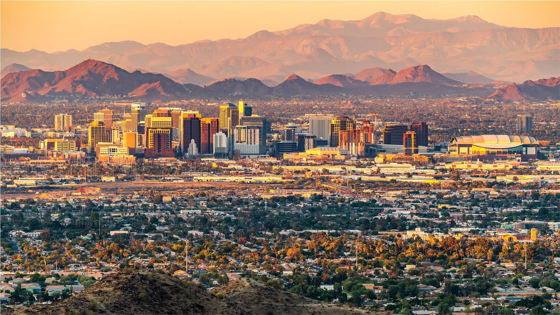 The Society for Immunotherapy of Cancer (SITC)